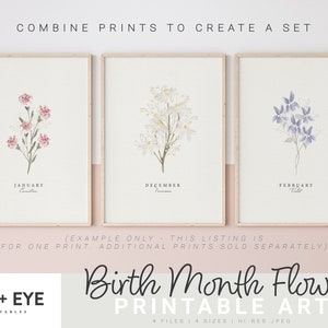 Op de afbeelding: Printbare kunst met aquarel-illustraties van bloemen die elke maand van het jaar vertegenwoordigen. De prints zijn gelabeld met de maand en de naam van de bloem. De tekst "Combine prints to create a set" staat bovenaan de afbeelding. De tekst "(Example only - this listing is for one print, additional prints sold separately)" staat onder de prints. De tekst "Ink + Eye Printables" staat in de linkerbenedenhoek. De tekst "Birth Month Flower Printable Art" staat in het midden onderaan. De tekst "4 files | 4 sizes | Hi-res JPEG" staat in de rechterbenedenhoek.