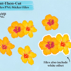 Hibiscus Sticker files, Tropical flower print then cut cricut files, Hi res 300dpi floral clip art files, with and without offset, Hibiscus