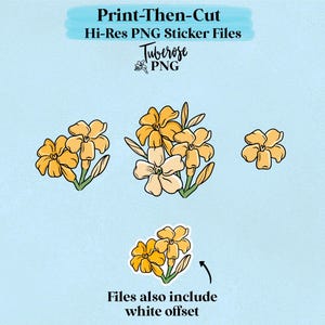 Puakenikeni Cluster Sticker files, PNG print then cut files, Puakenikeni Sticker Artwork, Hi res 300dpi with and without offset, tropical