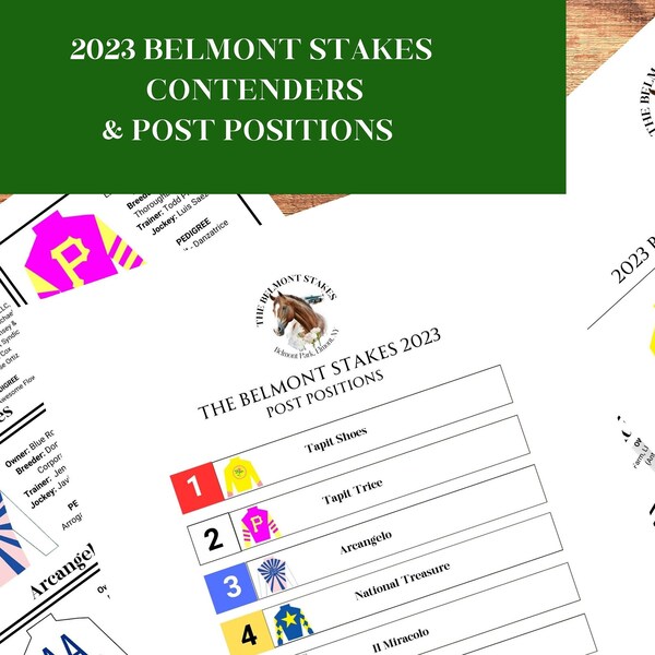 Belmont Stakes Etsy