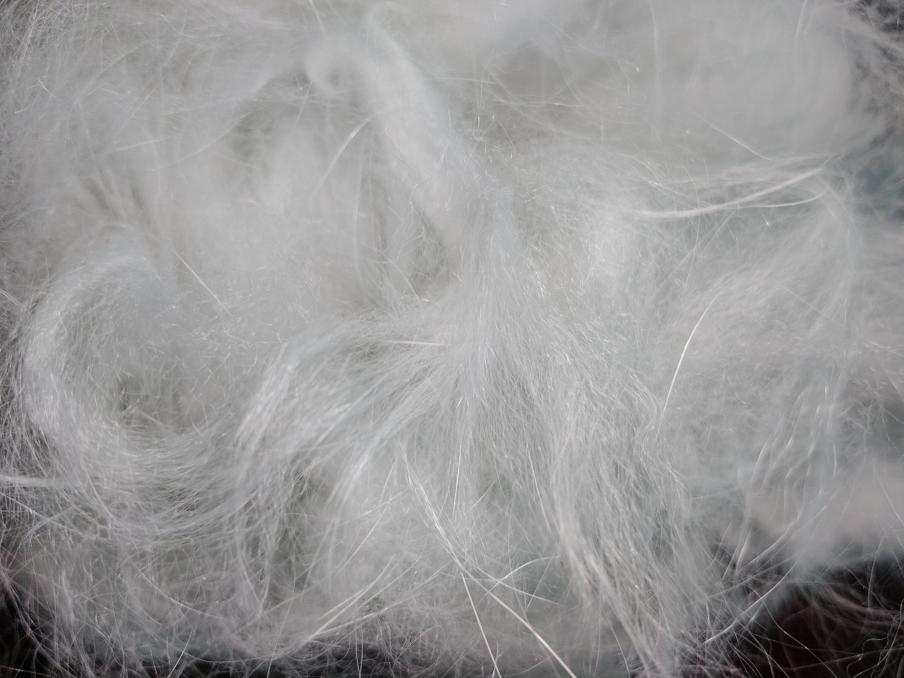Raw Angora Rabbit Wool Pure White - Etsy