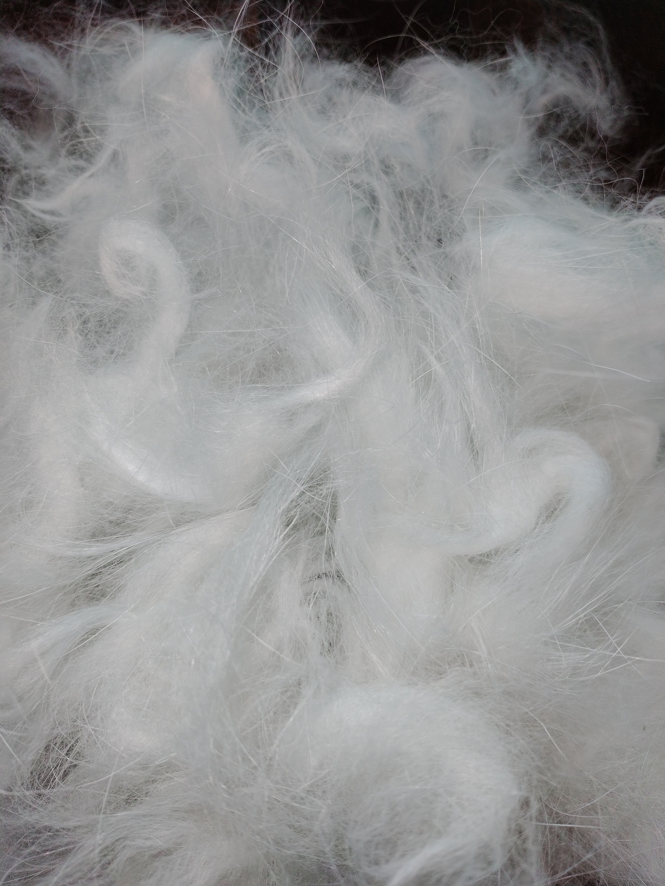 Angora Rabbit Wool Sample - Etsy