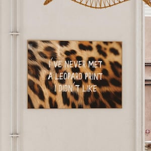 Trendy Wall Art Print, Cheetah Poster, Y2K Leopard Aesthetic, Living Room Apartment Decor, Glamour Chic Bedroom Wall Art, Digital Download