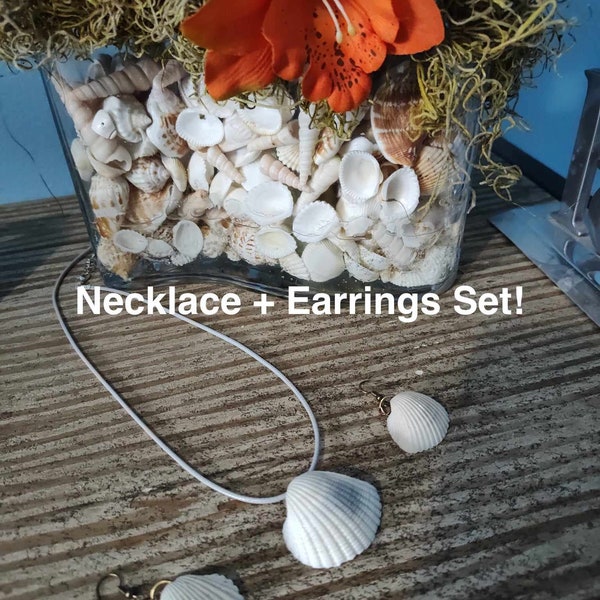 Real Natural Off-White + Gray, Seashell Necklace + Earrings Set, Ocean Beach Summer Boho Charm, Cord, 18", Gift for Women, Mother's Day