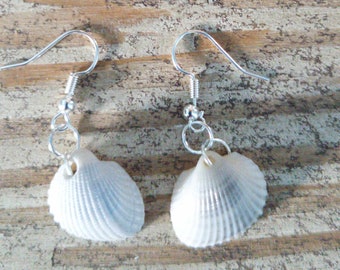 Natural Gray White Seashell Earrings Women's Gift Texas Beach Ocean Summer Sea Cockle Shell Mother's Day Birthday