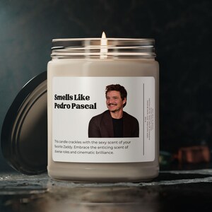 Riecht nach Pedo Pascal Kerze, Behälter-Kerze, The Last of Us Fan, Mandolorian Fan, Fantastische Vier Fan