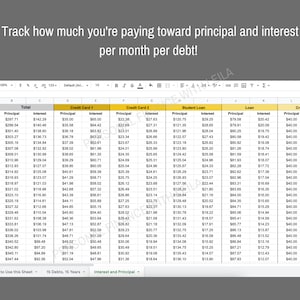 May include: A spreadsheet with a table showing how to track monthly payments toward principal and interest for 15 debts over 15 years. The table includes columns for total, credit card 1, credit card 2, student loan, loan, and credit card. The table shows the principal and interest payments for each debt for each year.