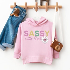 toddler girl hoodie, sassy hoodie, sassy toddler hoodie, toddler girl sweatshirt, sassy sweatshirt, toddler sweater, sassy sweater