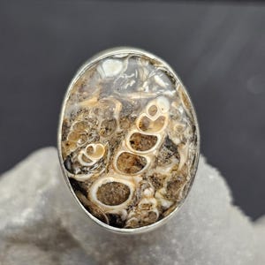Turritella Fossil Stone Snail Handmade Sterling Silver Ring Adjustable