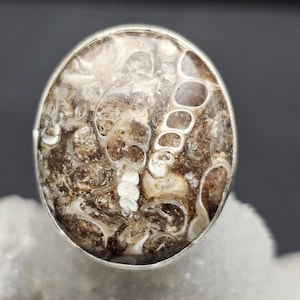 Turritella Fossil Stone Snail Handmade Sterling Silver Ring Adjustable