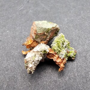 Real Copper and Silver Specimen 2.7 Grams