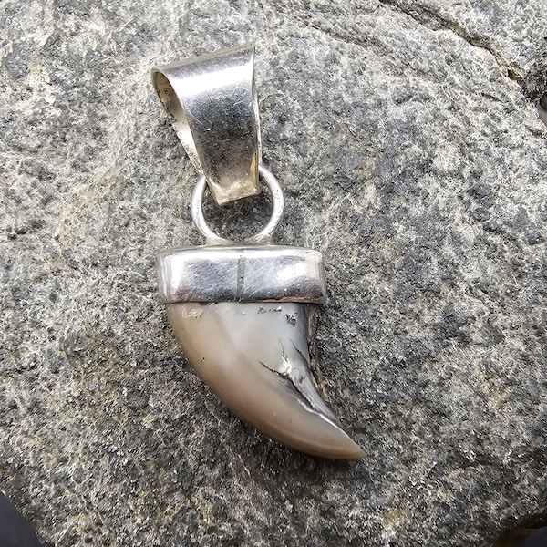 Badger Claw Sterling Silver Pendant