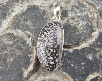 Dinosaurier Knochen Fossil Edelstein Handmade Sterling Silber Schmuck Anhänger Geschenk