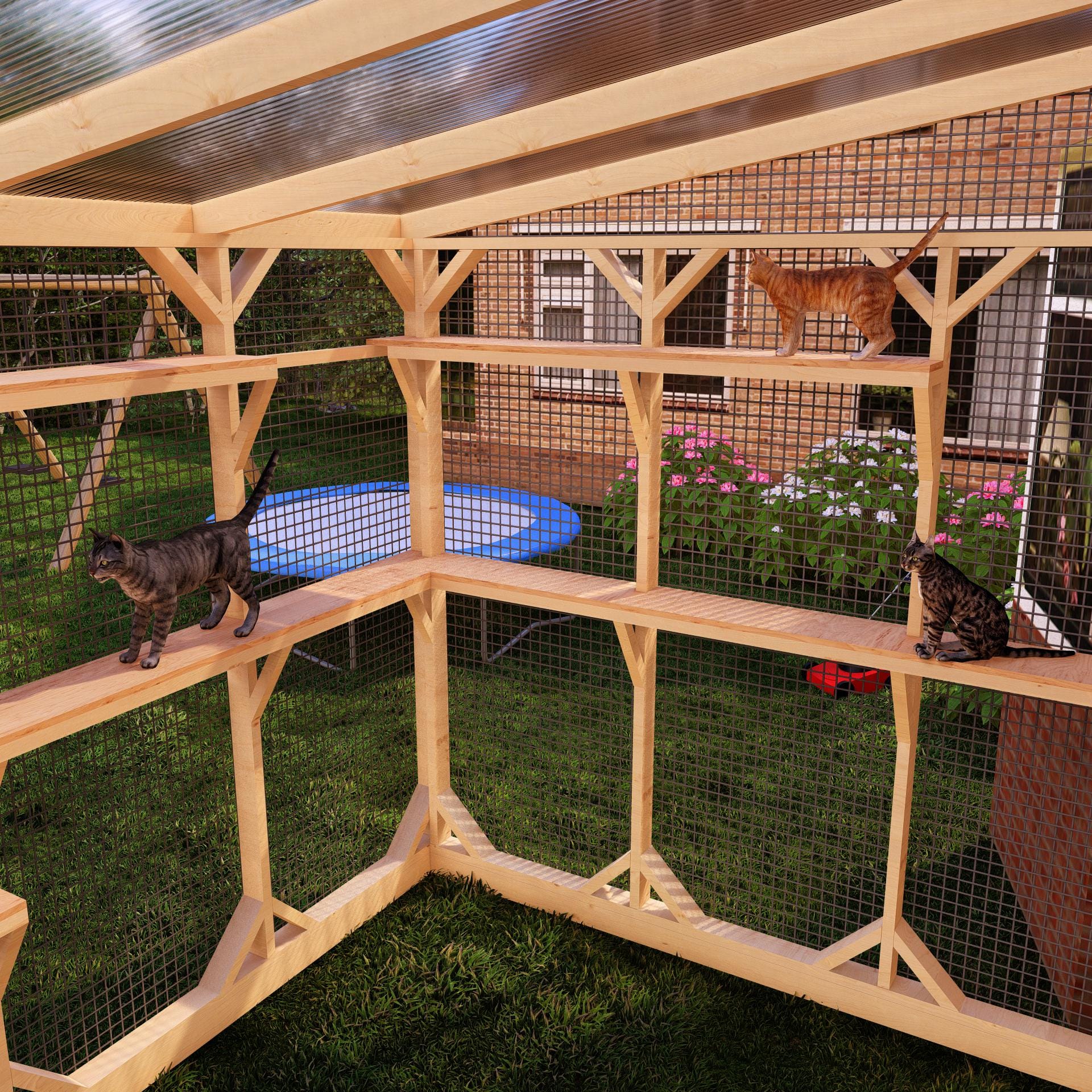 DIY Large Cat Patio Plans, Spacious Outdoor Catio Attached to House ...