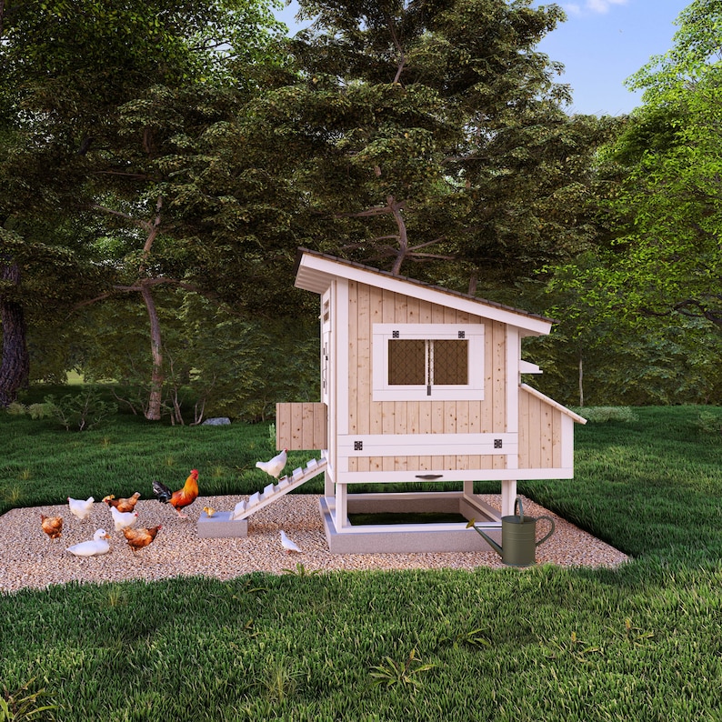 DIY 5x5 Chicken Coop Plans for 12 Chickens, Small Farm PDF Blueprint