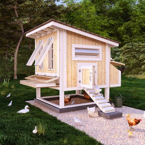 May include: A wooden chicken coop with a white roof and white trim. The coop has a nesting box, a roosting bar, and a ramp for the chickens to enter and exit. There are several chickens in the coop and on the ground.