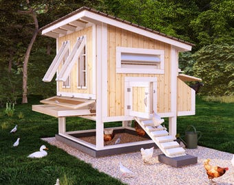 May include: A wooden chicken coop with a white roof and white trim. The coop has a nesting box, a roosting bar, and a ramp for the chickens to enter and exit. There are several chickens in the coop and on the ground.