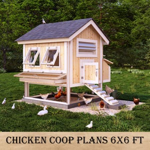 12～15羽用の6×6インチDIY鶏小屋プラン、巣箱とトイレトレー付き裏庭鶏小屋、デュアルユニット印刷ファイル、簡単な裏庭造り