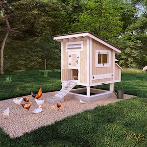 DIY 5 x 5 kippenhokplannen voor 12 kippen, kleine boerderij pdf-blauwdruk houtbewerkingsplannen pdf-download Stapsgewijze handleiding
