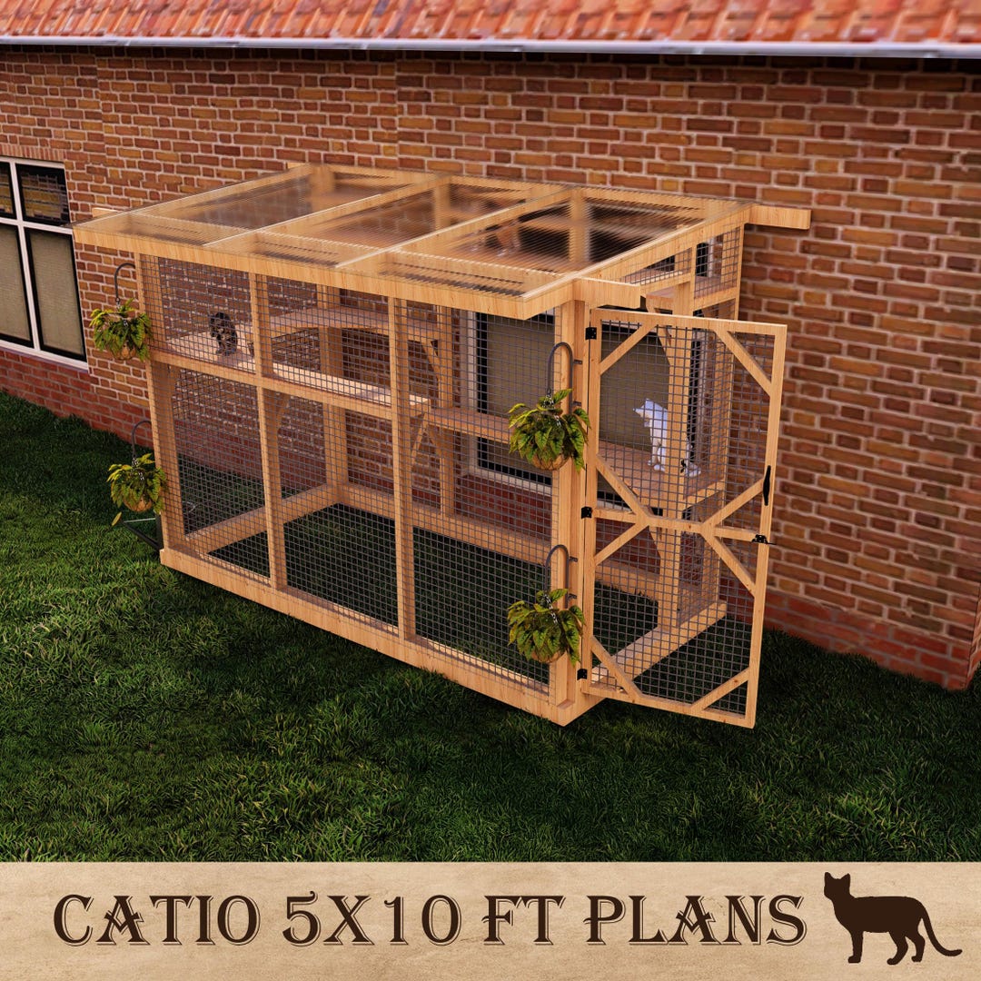 diy-outdoor-cat-enclosure-plans-5-x-10-pergola-style-catio-with