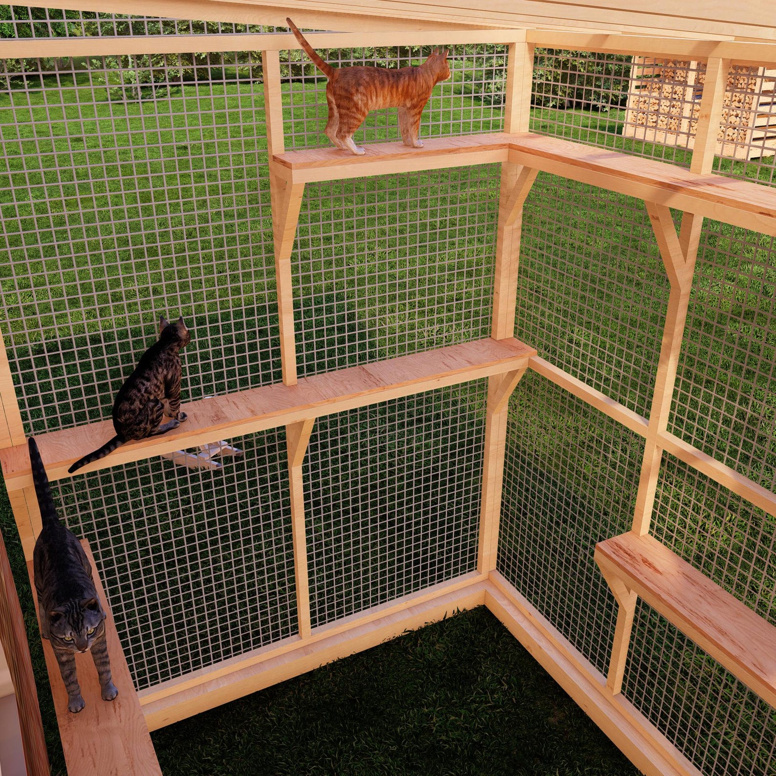 DIY Catio Plans – Spacious 6x8 Ft Outdoor Cat Enclosure With Door, Wall ...