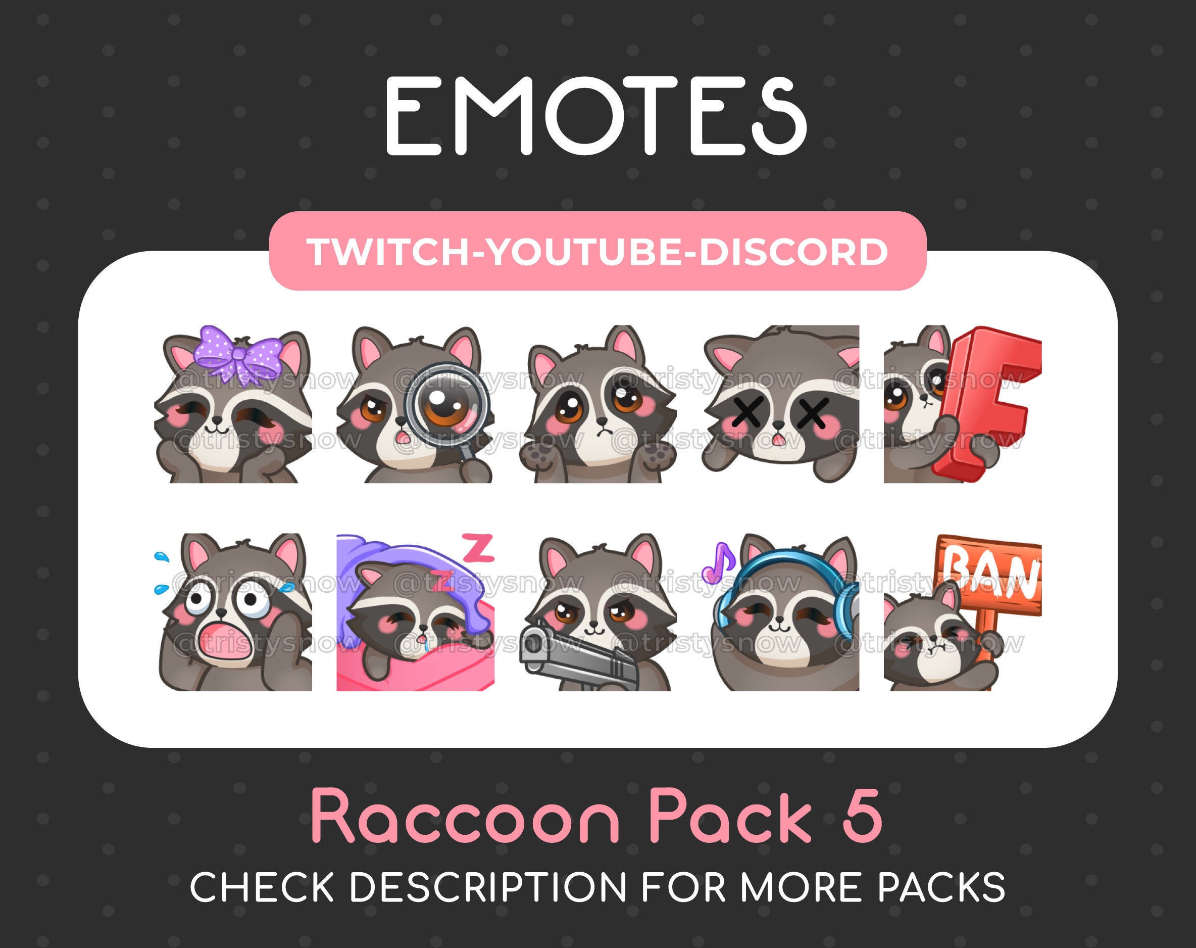 Twitch Emote / Cute Raccoon Awkward Look Panic Meme Sus 