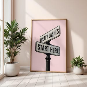 May include: A framed print featuring a pink background with two street signs that read "Pretty Lashes" and "Start Here." The signs are white with black text and are mounted on a black post. The print is in a room with a plant.