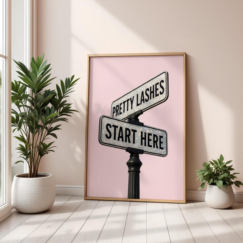 May include: A framed print featuring a pink background with two street signs that read "Pretty Lashes" and "Start Here." The signs are white with black text and are mounted on a black post. The print is in a room with a plant.