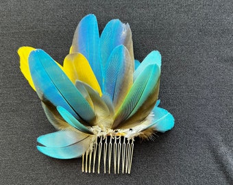 Macaw feather hair combs