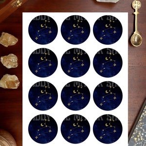 LEO CUPCAKE TOPPER printable, zodiac cupcake topper printable, printable astrology cupcake topper, printable zodiac party decoration