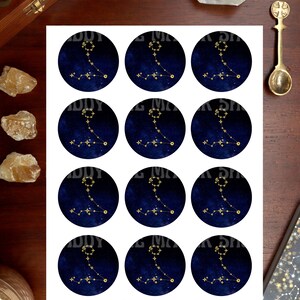PISCES CUPCAKE TOPPER printable, zodiac cupcake topper printable, printable astrology cupcake topper, printable zodiac party decoration