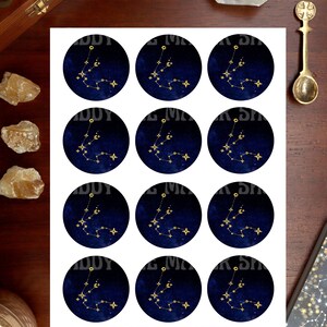 AQUARIUS CUPCAKE TOPPER printable, zodiac cupcake topper printable, printable astrology cupcake topper, printable zodiac party decoration