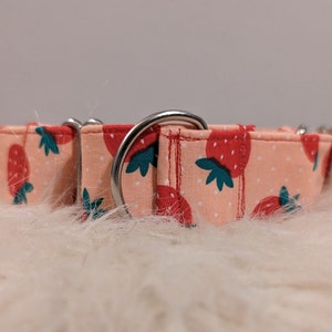 Strawberry Dog Collar- Custom Collar
