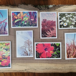 Mini Photo Prints