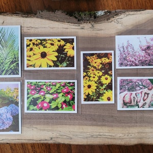 Mini Photo Prints