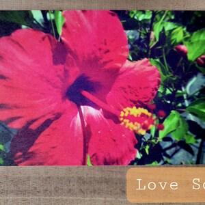Postcards