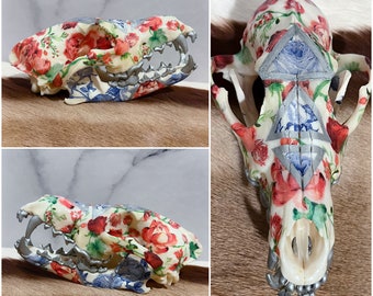 Floral Embellished Real COYOTE Skull