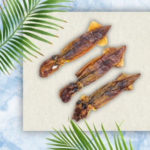 Whole Squid Treats for Dogs, Dehydrated Squid for Dogs, Seafood ...