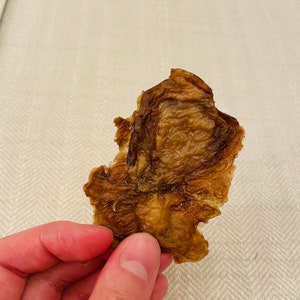 Pork Brains for Dogs, Dehydrated Pork Brains Dog Treats, Pork Brain Jerky Dog Treats, Dehydrated Organ Meats for Dogs, Pork Treat for Dogs image 4