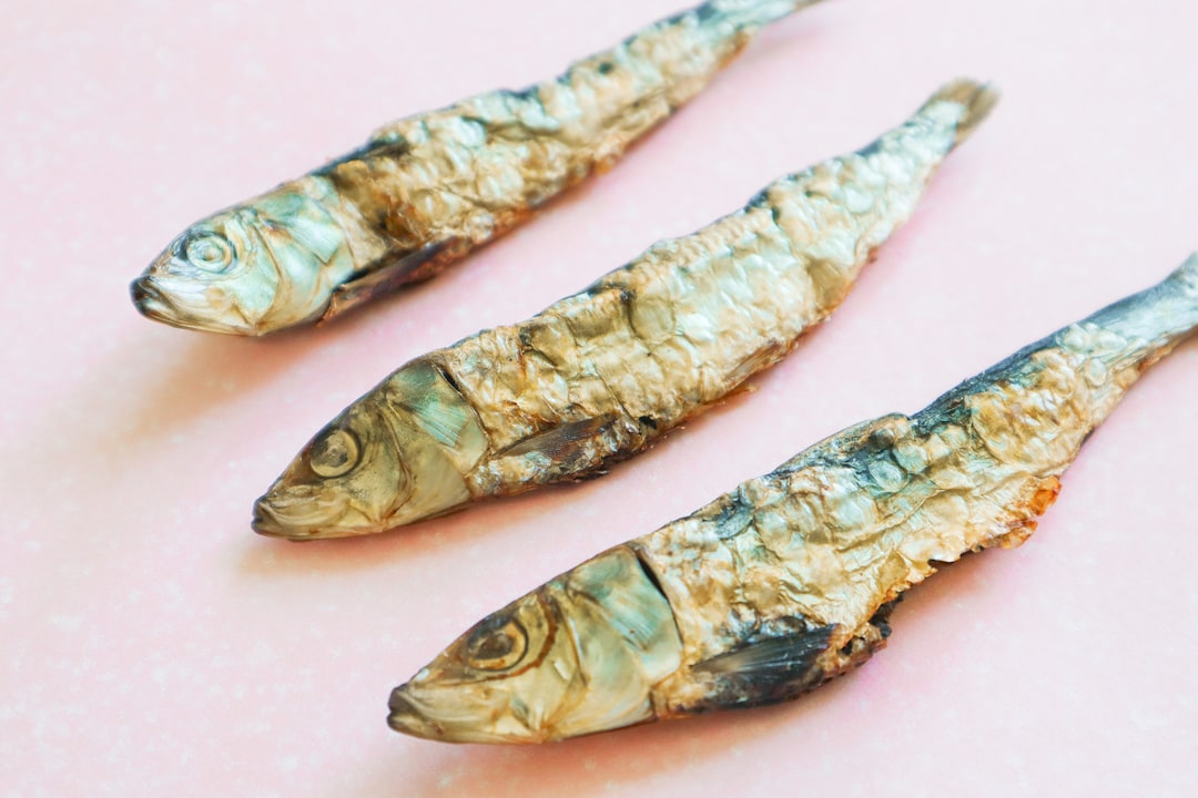 Sardines for Dogs, Dehydrated Sardines Dog Treat, Sardine Fish for Dogs