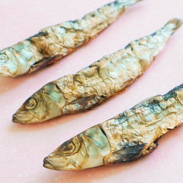 Sardines for dogs, Dehydrated Sardines Dog Treat, Sardine fish for dogs, Fish Jerky for Dogs, Dehydrated sardine fish treats, fish treats
