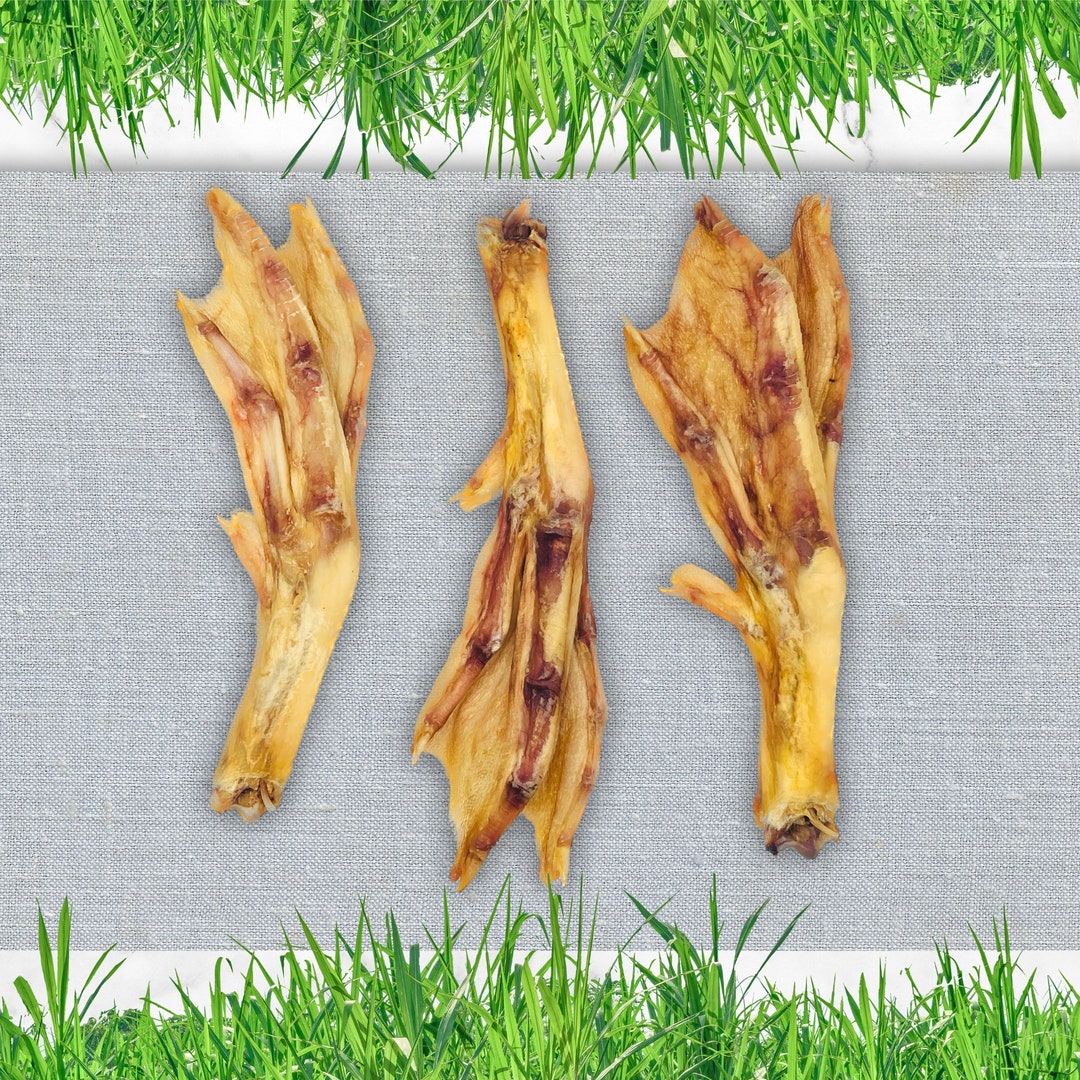 duck-feet-for-dogs-dehydrated-duck-feet-dog-treat-duck-treat-for-dogs