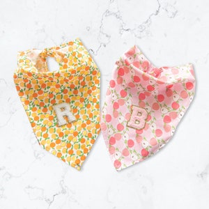 Summer Dog Bandana Personalized Dog Gift Dog Mom Custom Dog Bandana Easter Dog Bandana Dog Gift Personalized Dog Bandana Pet Accessories