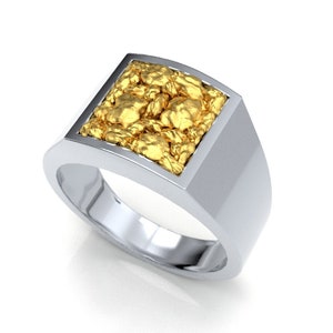 Men&#39;s signet (square) with gold nuggets (white gold)