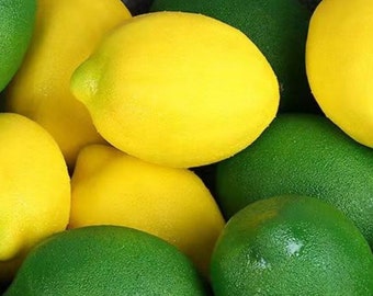 10pcs Fake Artificial Lemons(yellow or green) Home Kitchen Decor Fake Fruit Artificial Fruit Faux Lemons Decoration Photographic Prop