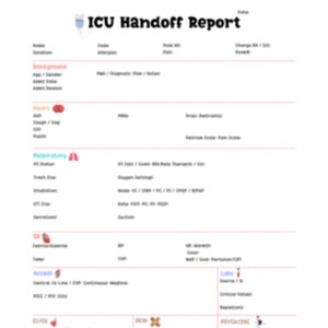 ICU Report Sheet + Day Shift Worklist
