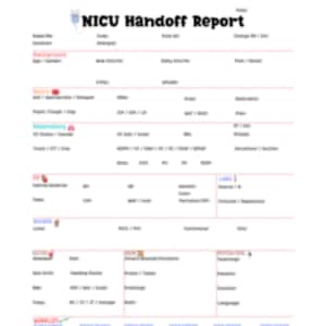 NICU Report Sheet