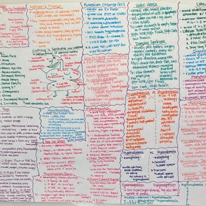 Notas de velocidad NCLEX