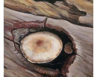 Mushroom in a Log - fine art print