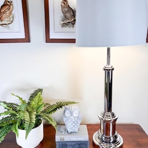 May include: A silver table lamp with a light blue lampshade sits on a wooden table. Two framed owl prints hang on the white wall behind the lamp. A small owl figurine and a potted fern are also on the table.